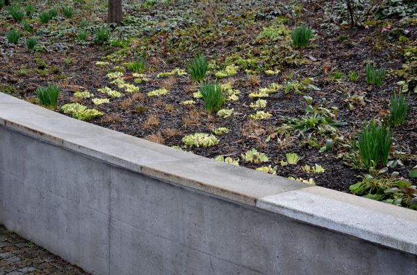 Cost of Concrete Wall Construction in Crestview